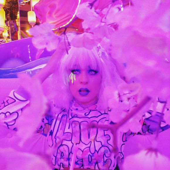 Meet your Posher, Verdi - Picture 1 of 1